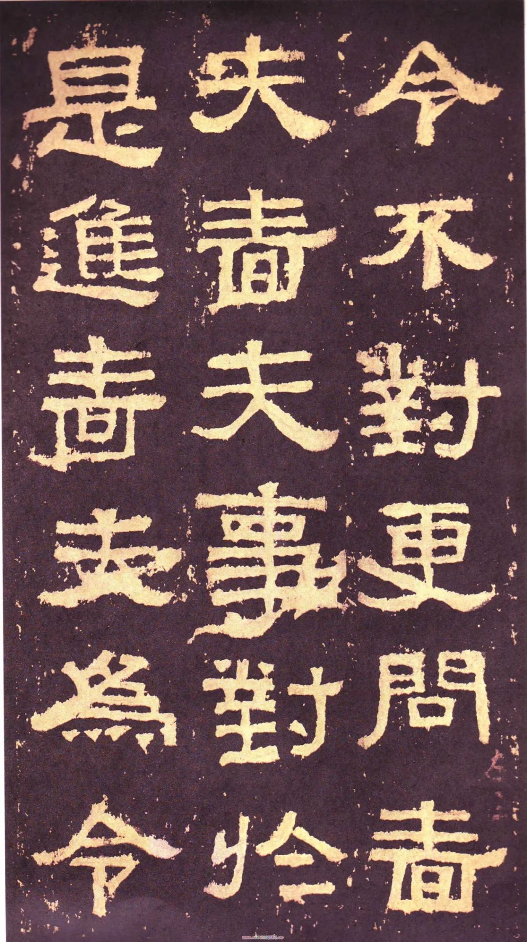 存恤_存恤_存恤