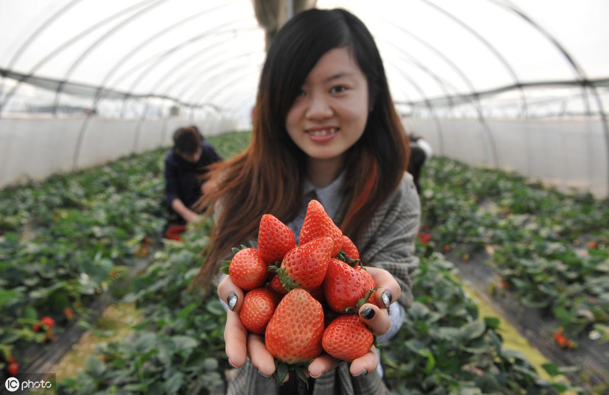 advices_advices意思_someadvices