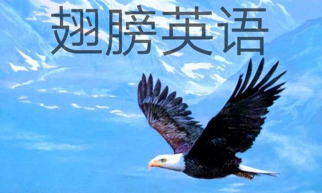 advices_someadvices_advices意思