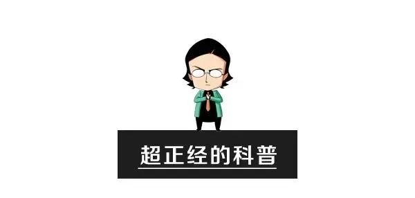 stillbirth_Stillbirth翻译_STILLBIRTH中文翻译