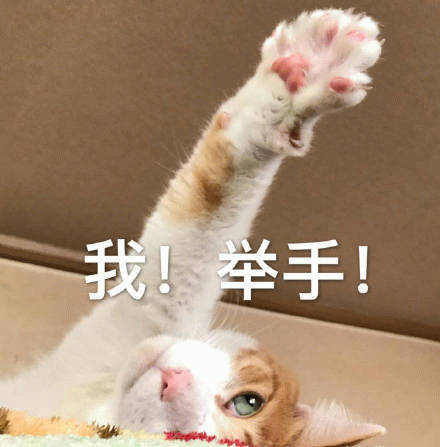 plunged是什么意思_plungedinto翻译_plunged
