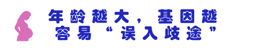 stillbirth_STILLBIRTH乐队_STILLBIRTH中文翻译