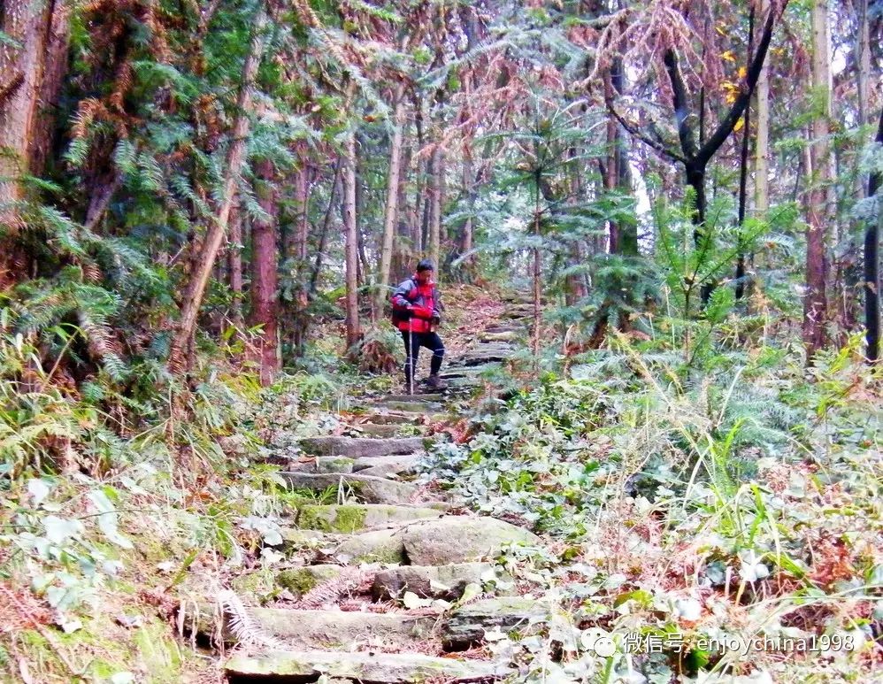 赵公山_赵公山景区简介_赵公山天气