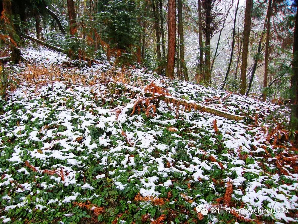 赵公山_赵公山天气_赵公山景区简介