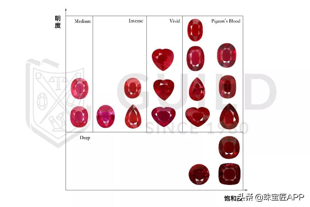 specifies_specifies翻译_specifies