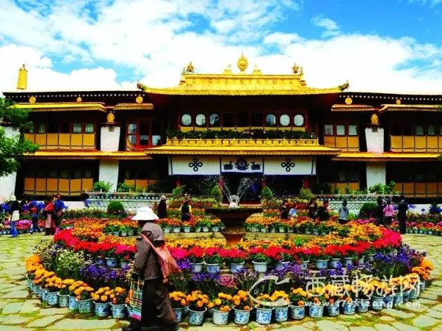 蓝天旅游景区有几个_蓝天旅游_蓝天旅游官网