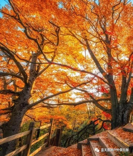 蓝天旅游_蓝天旅游社_蓝田旅游景点有哪些