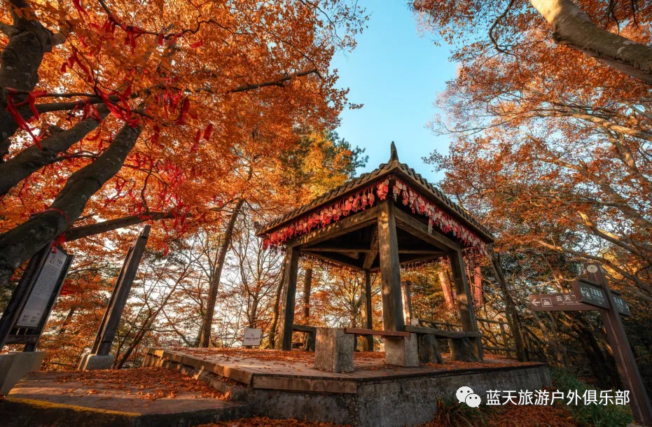 蓝田旅游景点有哪些_蓝天旅游_蓝天旅游社