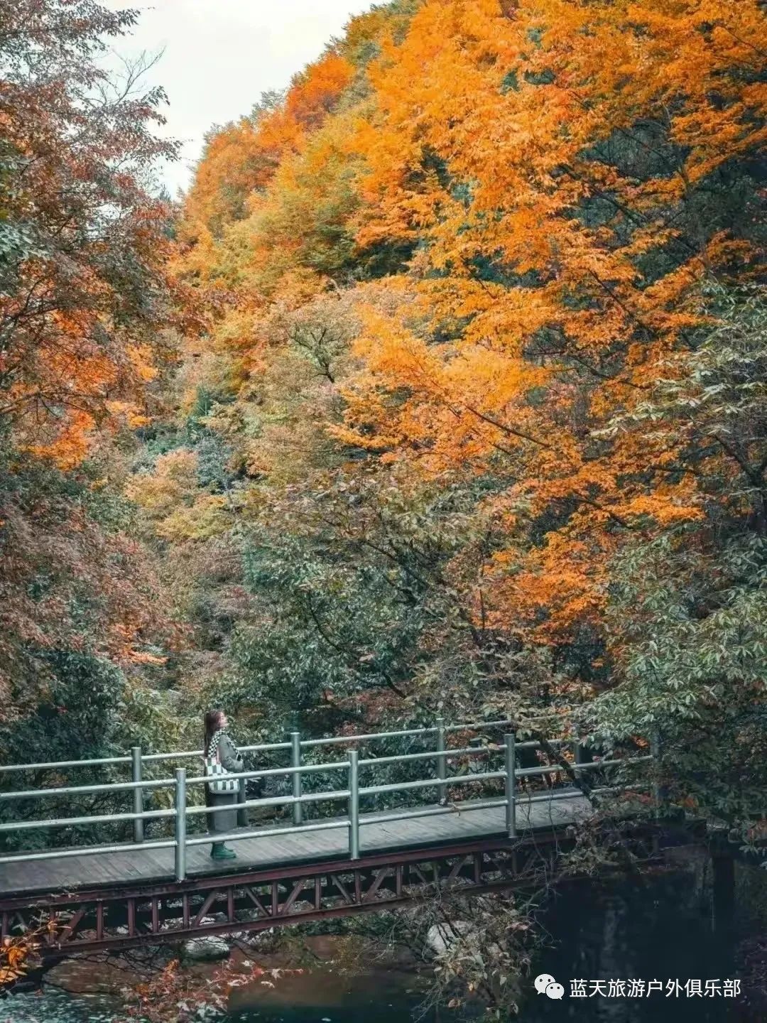 蓝天旅游社_蓝天旅游_蓝田旅游景点有哪些