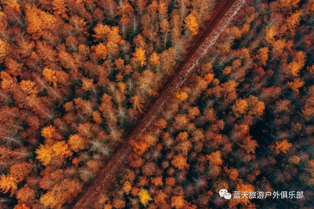 蓝天旅游社_蓝田旅游景点有哪些_蓝天旅游