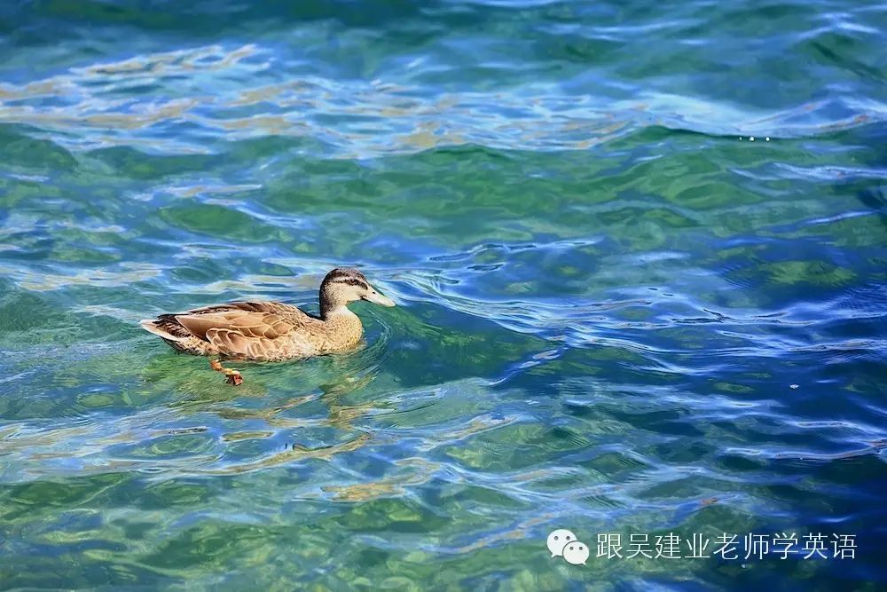 likeminded_minded_minded是什么意思