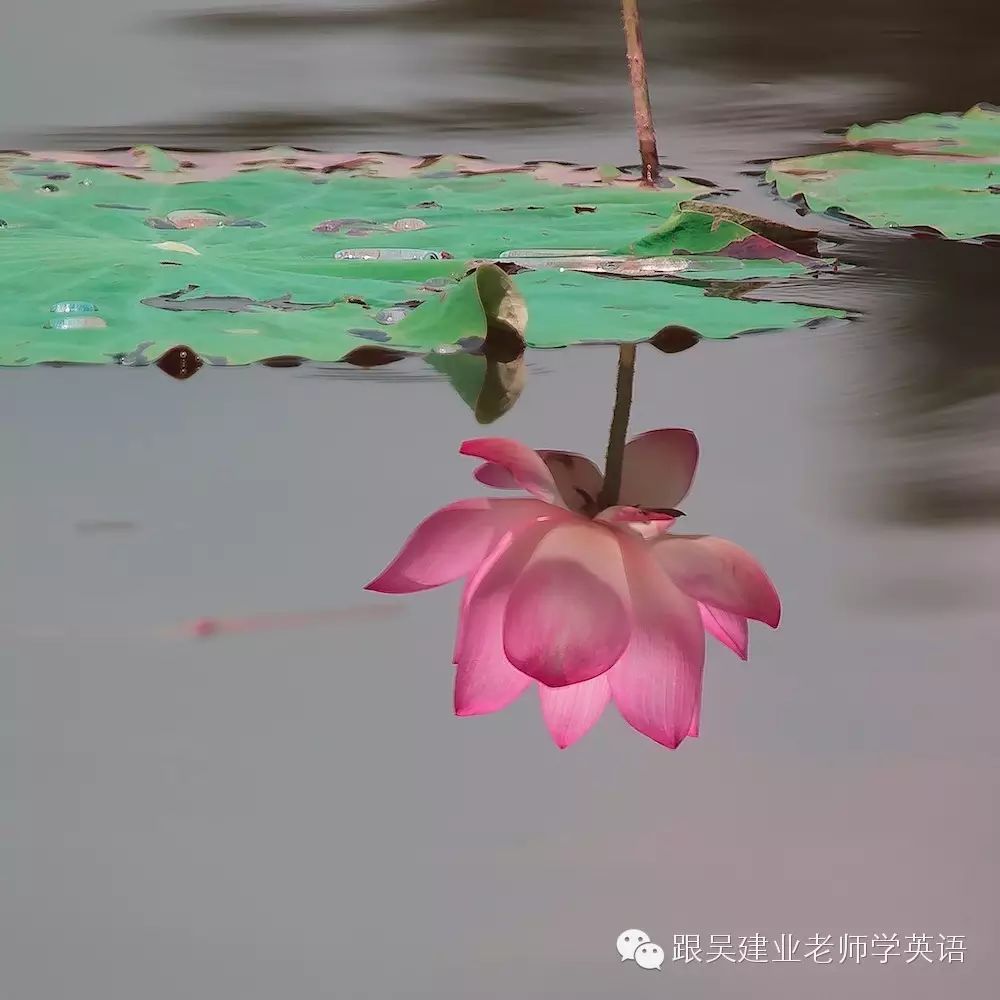minded是什么意思_likeminded_minded