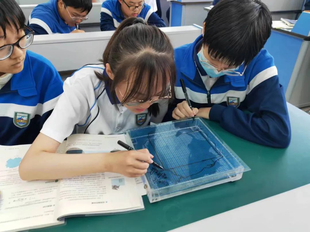 名优_小泽优名_优名网