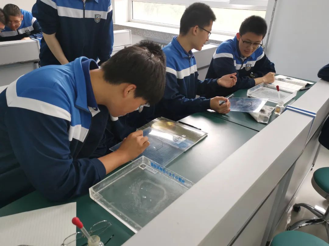 优名网_小泽优名_名优