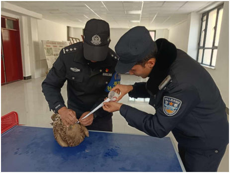 子都_子宫下垂有什么办法恢复正常_子宫内膜增厚怎么治疗最好