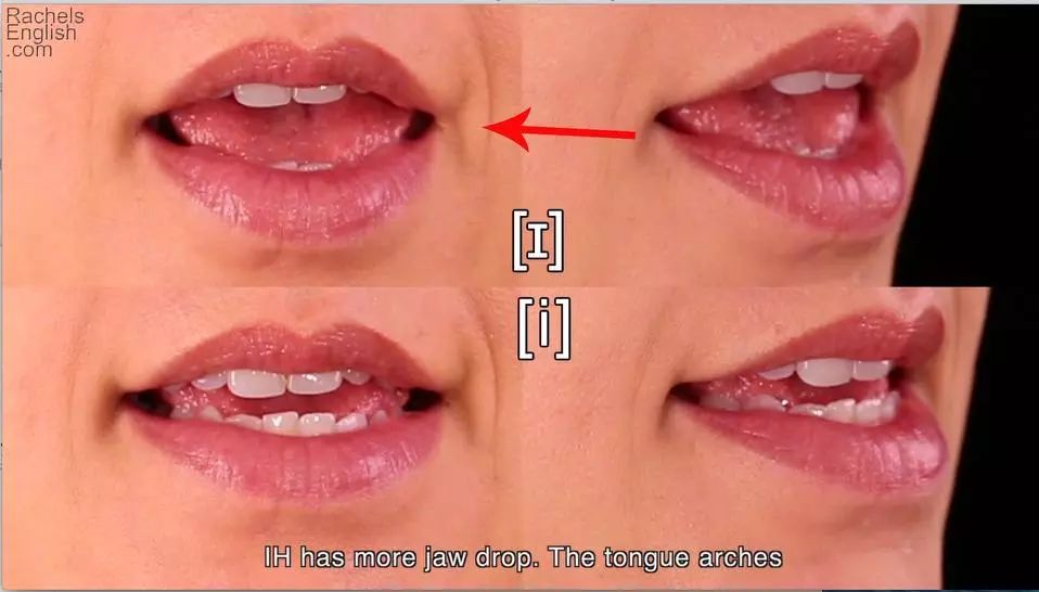 quizzes单词是什么意思_quizzes是什么意思_quizzes
