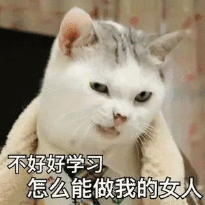 团伙_传销团伙洗脑日记_传销团伙男女关系恶心