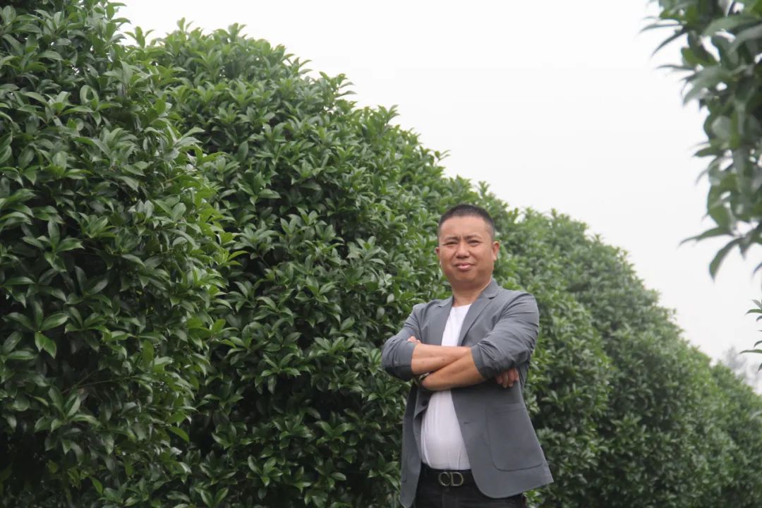 苗_苗圃_苗侨伟