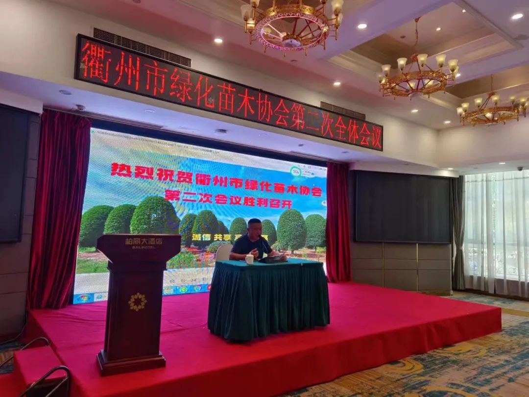 苗侨伟_苗圃_苗