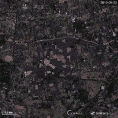 overlooked_overlooked中文翻译_overlooked翻译
