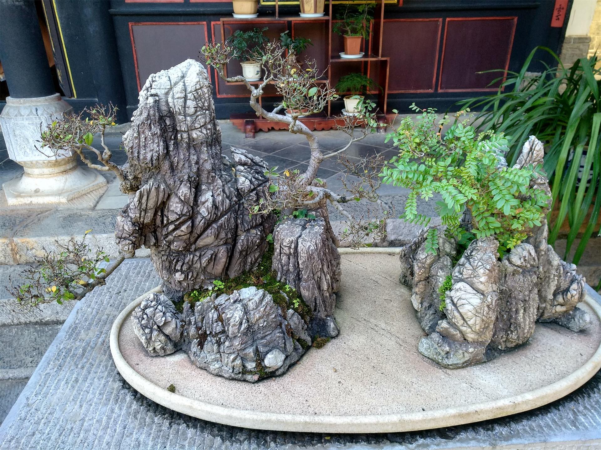 《朱家花园》_朱家花园_我想看朱家花园