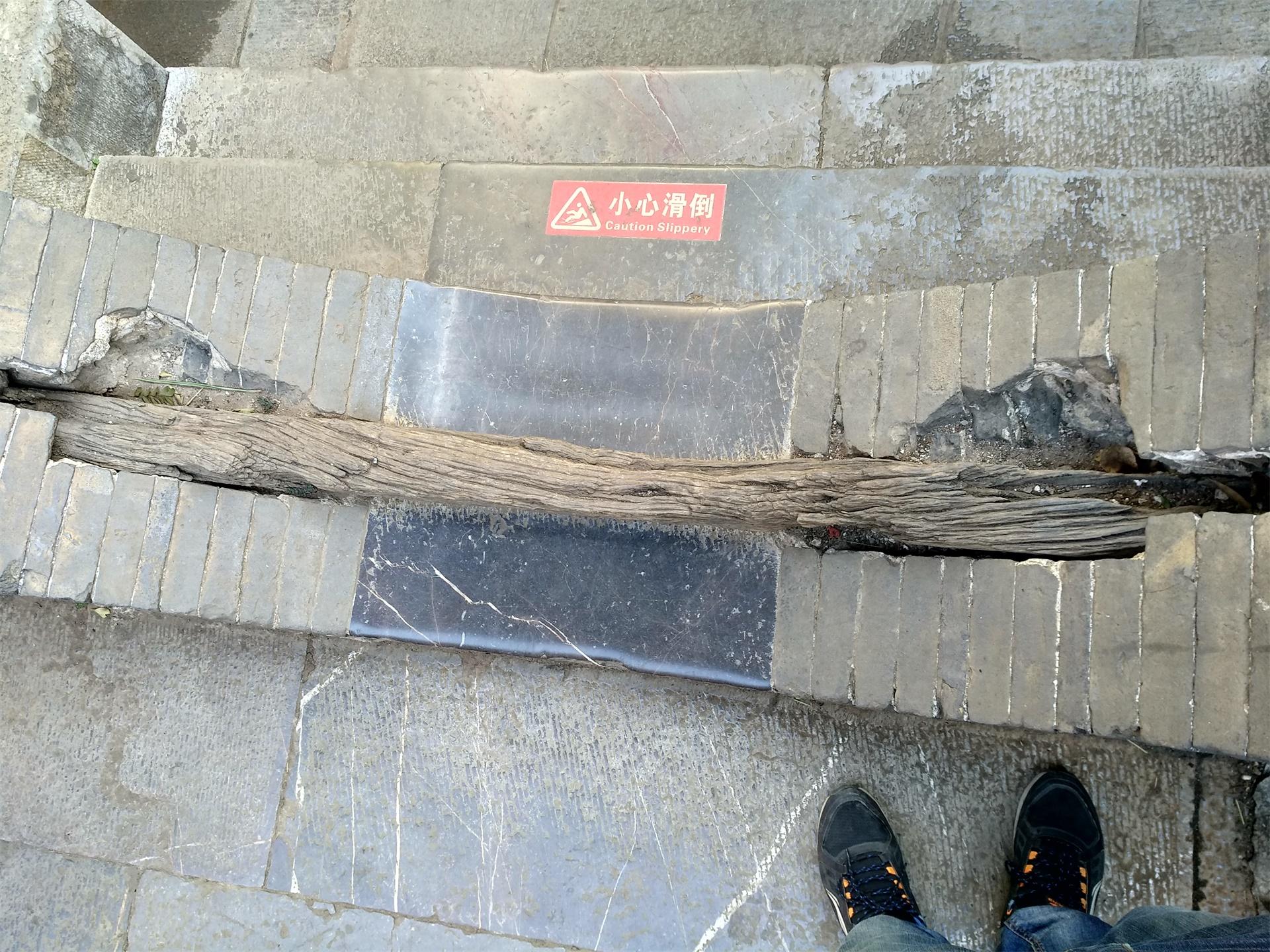 我想看朱家花园_朱家花园_《朱家花园》