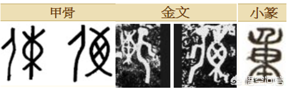 杳不知其所之也中的杳_杳_吹箫人去行云杳
