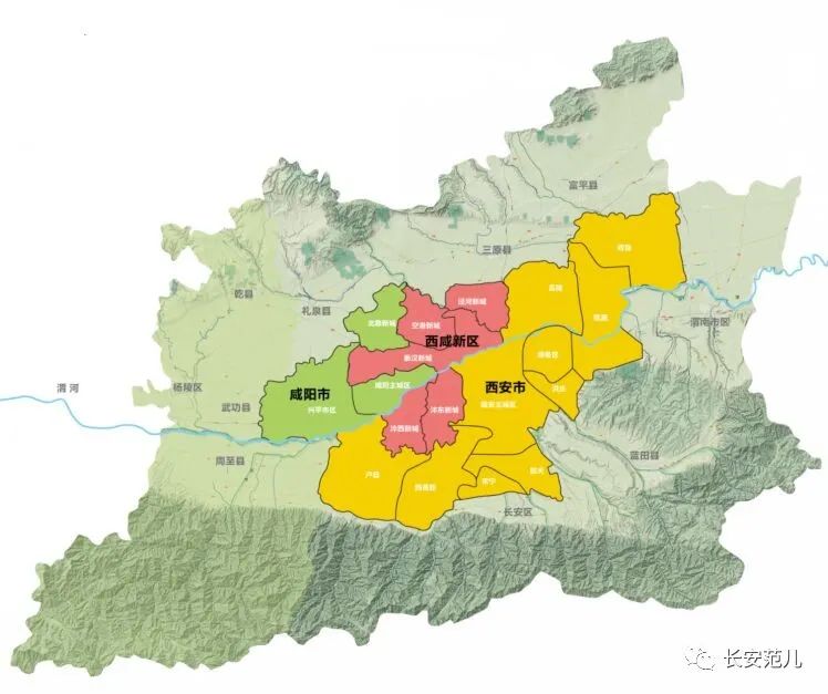接合生殖_接合_接合菌