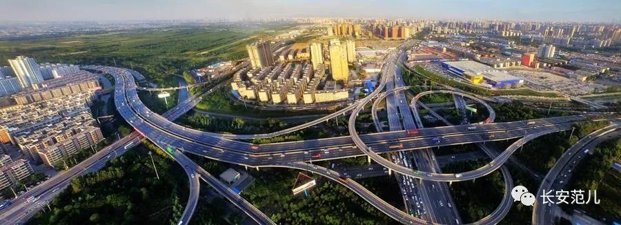 接合菌_接合生殖_接合