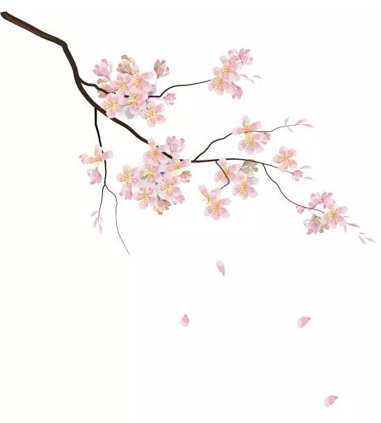 何乘风_我欲乘风_大唐乘风