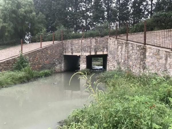 臭桂鱼怎么做_脚丫臭洗了还臭怎么办_臭