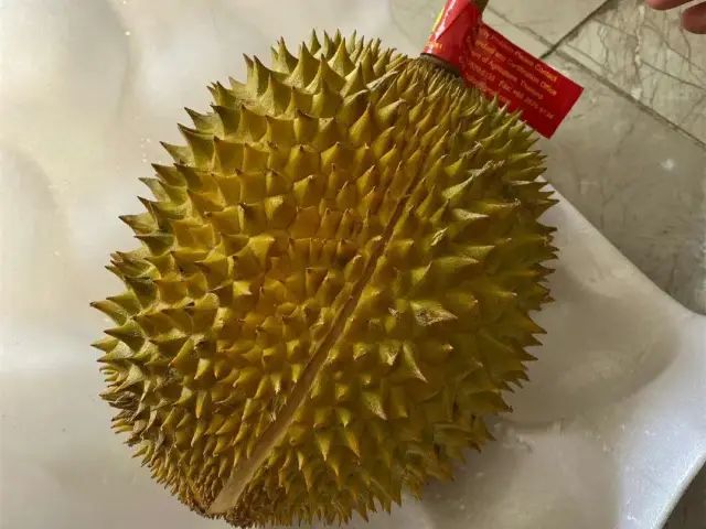 苏丹王榴莲好还是金枕榴莲好_苏丹王_苏丹王是哪个国家的