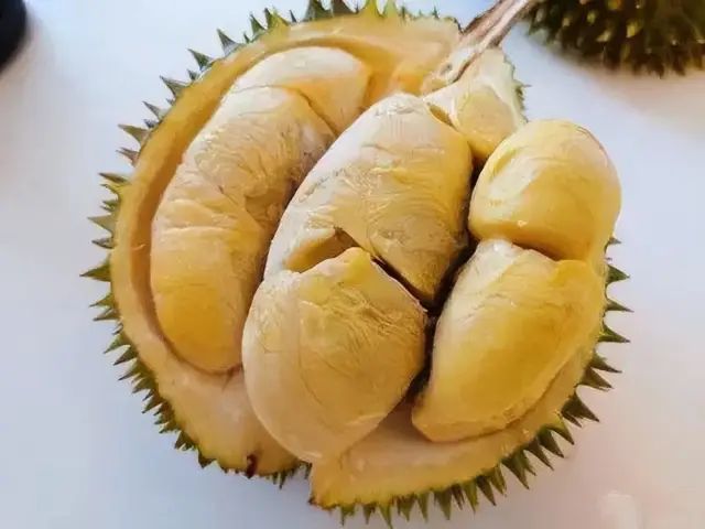 苏丹王榴莲好还是金枕榴莲好_苏丹王_苏丹王是哪个国家的