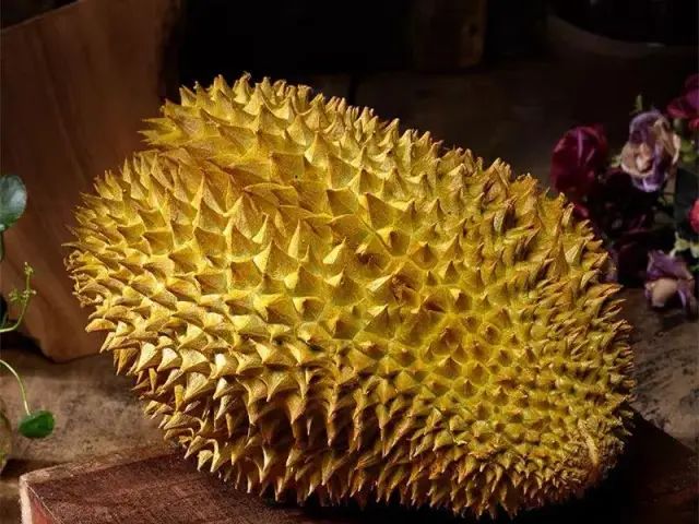 苏丹王是哪个国家的_苏丹王榴莲好还是金枕榴莲好_苏丹王