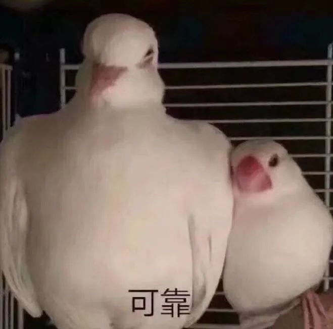 vue全家桶_全家桶含义_全家桶百科