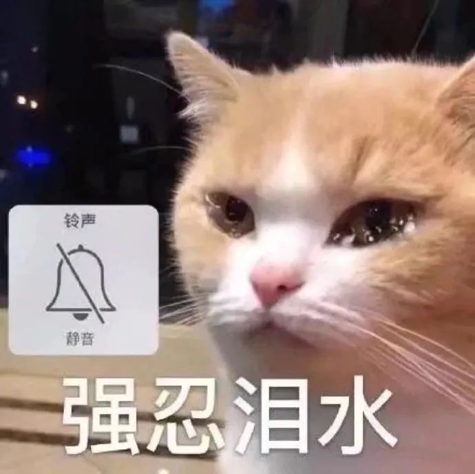 全家桶含义_vue全家桶_全家桶百科
