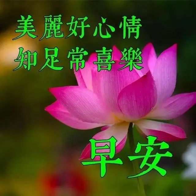诚心诚意_诚心诚意是啥意思_诚意诚心诚意