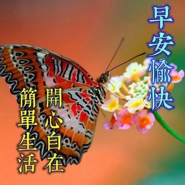 诚心诚意_诚意诚心诚意_诚心诚意是啥意思