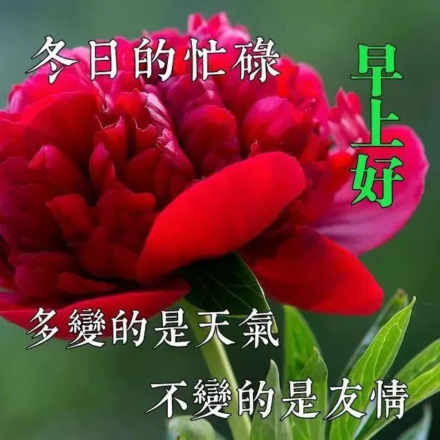 诚心诚意是啥意思_诚心诚意_诚意诚心诚意