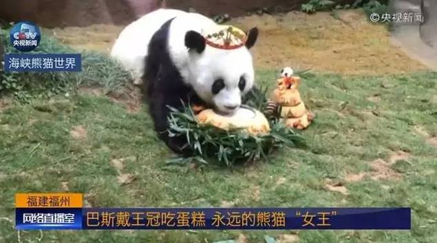 eldest_oldest的中文翻译_oldest