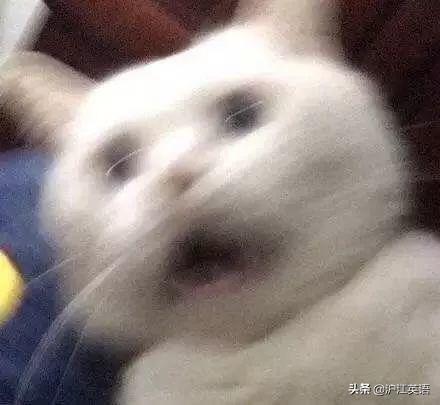 MurderedBy_Murdered怎么读_murdered