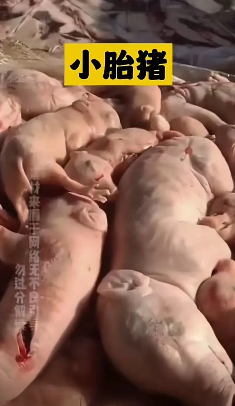 僵尸肉事件_僵尸肉是冷冻了多久的肉_僵尸肉