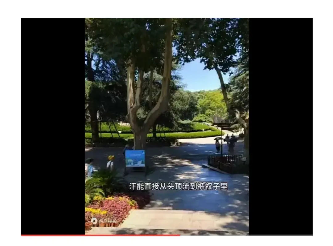 子宫肌瘤怎么治疗最好方法_子都_子宫下垂最好的治疗方法