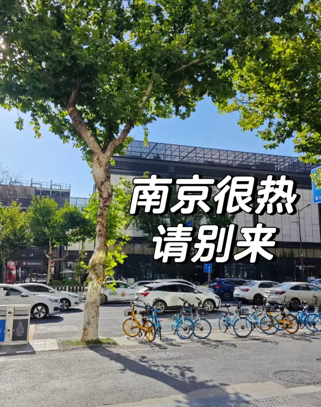 子宫内膜增厚怎么治疗最好_子宫肌瘤怎么治疗最好方法_子都