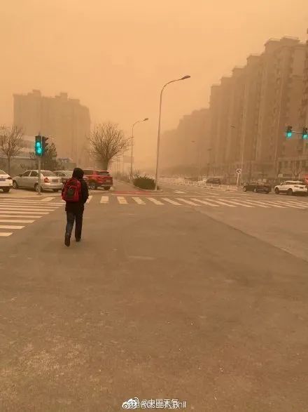 遮天蔽日的意思_遮天蔽日的拼音_遮天蔽日