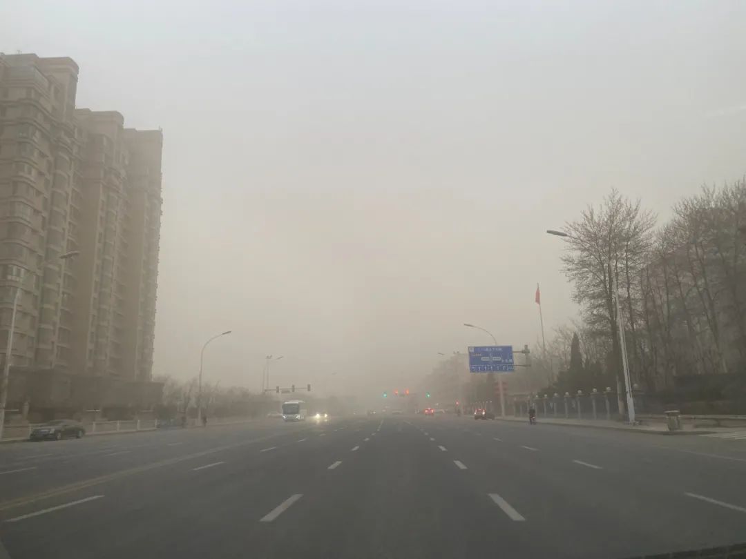 遮天蔽日的拼音_遮天蔽日的意思_遮天蔽日