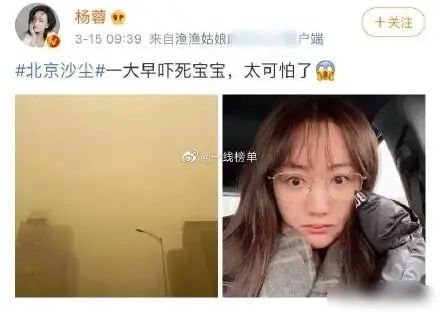 遮天蔽日的拼音_遮天蔽日的意思_遮天蔽日