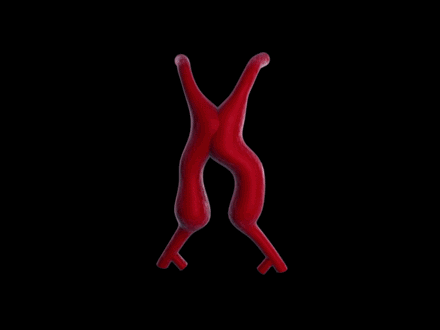 dynein蛋白_dyneinarm_dynein