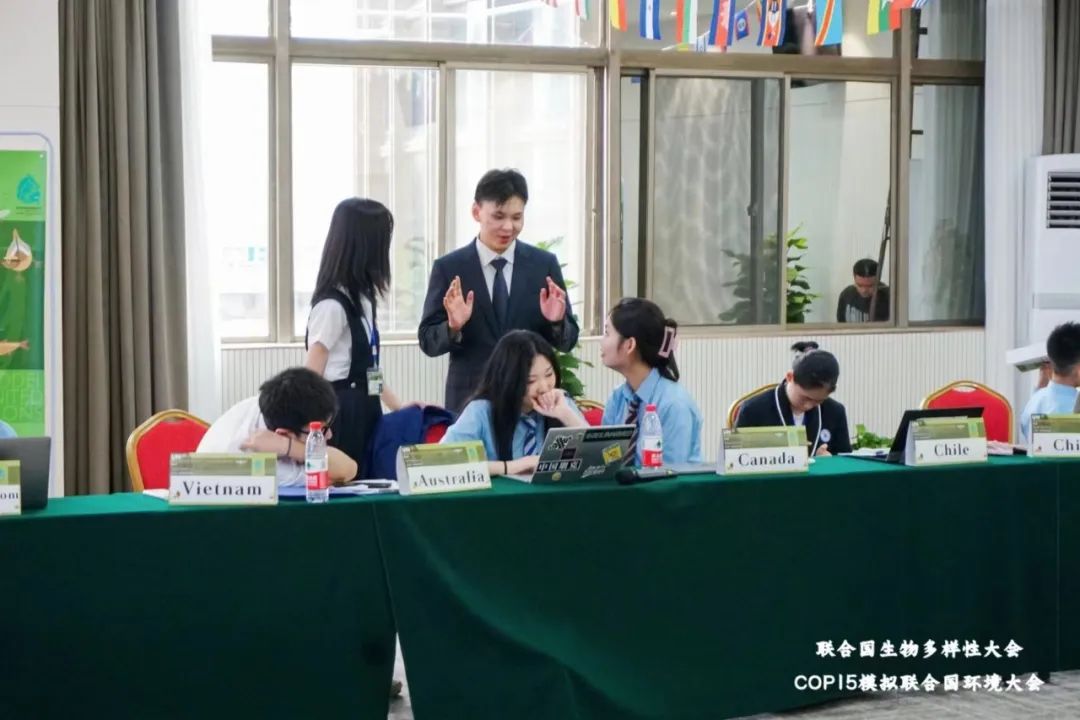 联合国理事会入选标准_联合国经社理事会_联合国理事会是什么意思