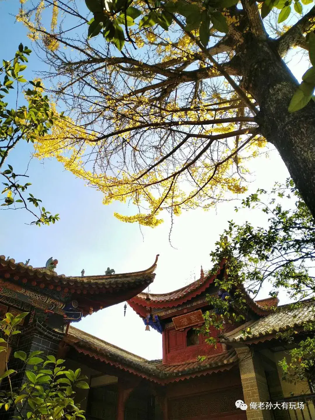 凌虚阁_凌虚阁_凌虚阁